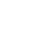Next JS